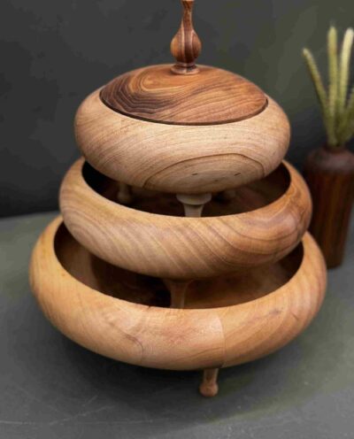 ست پذیرایی پایه رایزری