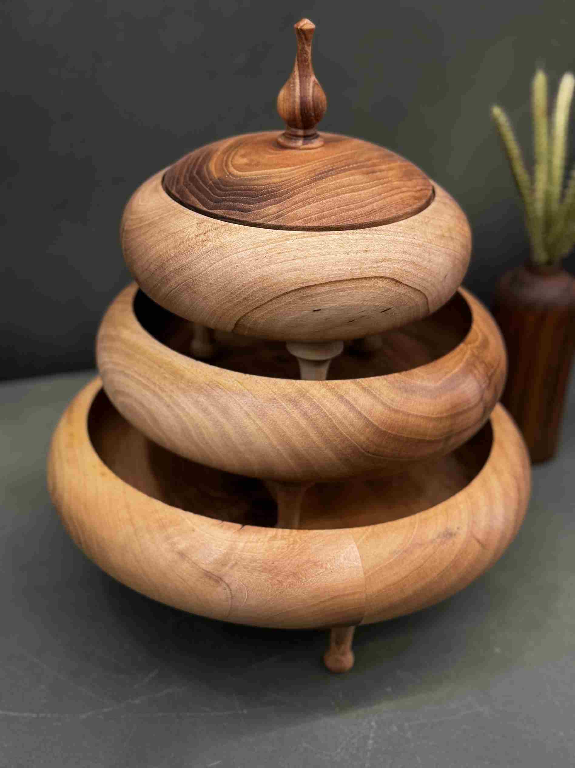 ست پذیرایی پایه رایزری